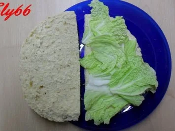 Rezept: Snacks:Kebab nach Sly´s Art Bild Nr. 13 Snacks:Kebab nach Sly´s Art - Rezept - Bild Nr. 13