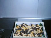 Mohn - Stangen - Rezept