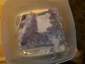Luftgetrockneter Bauchspeck - Rezept - Bild Nr. 3