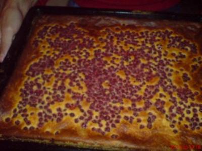 Quark-Mascarpone-Kuchen mit Johannisbeeren - Rezept