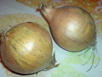 Rezept: Kaninchenkeulen und Kasslerkamm mit Rotkraut zu Klößen oder Salzkartoffeln Bild Nr. 7 Kaninchenkeulen und Kasslerkamm mit Rotkraut zu Klößen oder Salzkartoffeln - Rezept - Bild Nr. 7