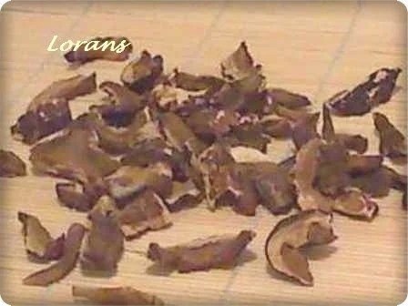 Steinpilzbouillon mit Maultaschen - Rezept - Bild Nr. 2