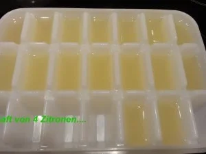 Rezept: Diverses: ZITRONENABRIEB auf Vorrat Bild Nr. 6 Diverses: ZITRONENABRIEB auf Vorrat - Rezept - Bild Nr. 6