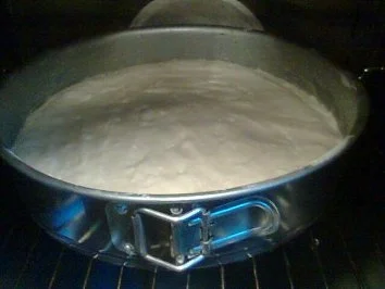 Blitzkuchen ! Der schmeckt sehr Lecker ! - Rezept - Bild Nr. 3