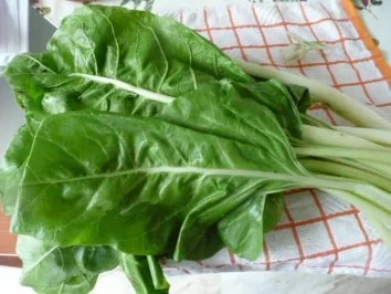 Rezept: GEMÜSE /MANGOLD Bild Nr. 2 GEMÜSE /MANGOLD - Rezept - Bild Nr. 2