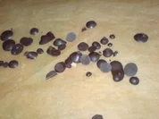 Schokotröpfchen - selbst gemacht - Rezept