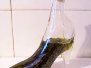 Gewürz: Rosmarin-Hanf-Öl - Rezept