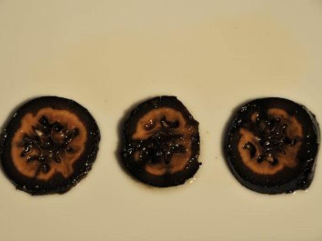 Schwarze Bohnen Rezepte