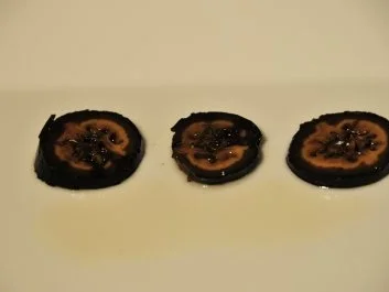 schwarze Nüsse - Rezept - Bild Nr. 2