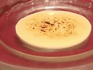 Rezept: Crème California (Xenia Seeberg) Crème California (Xenia Seeberg) - Rezept