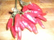 Pfefferoni-Aufstrich - Rezept