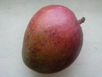 Mangotraum - Rezept - Bild Nr. 2