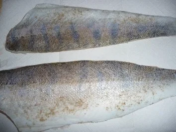 Zander auf Speckbohnen - Rezept - Bild Nr. 7