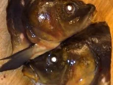 Lachssüppchen mit Chilli - Rezept - Bild Nr. 3