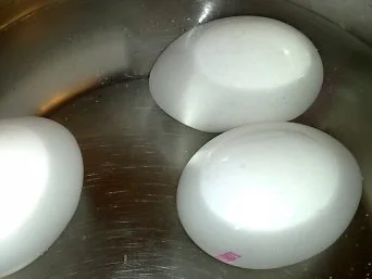 Lachssüppchen mit Chilli - Rezept - Bild Nr. 17