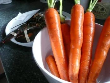 VORSPEISE /SCHALENTIER/FISCH:Hummer - Rezept - Bild Nr. 4