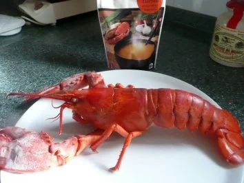 VORSPEISE /SCHALENTIER/FISCH:Hummer - Rezept - Bild Nr. 6