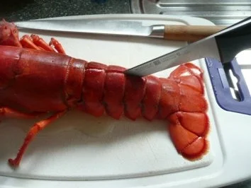 VORSPEISE /SCHALENTIER/FISCH:Hummer - Rezept - Bild Nr. 7