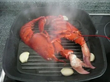 VORSPEISE /SCHALENTIER/FISCH:Hummer - Rezept - Bild Nr. 11