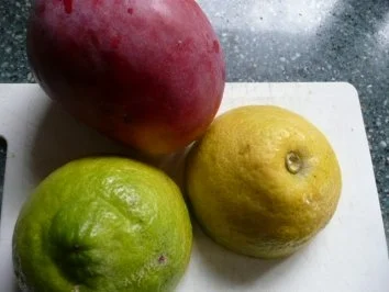 VORSPEISE /SCHALENTIER/FISCH:Hummer - Rezept - Bild Nr. 12