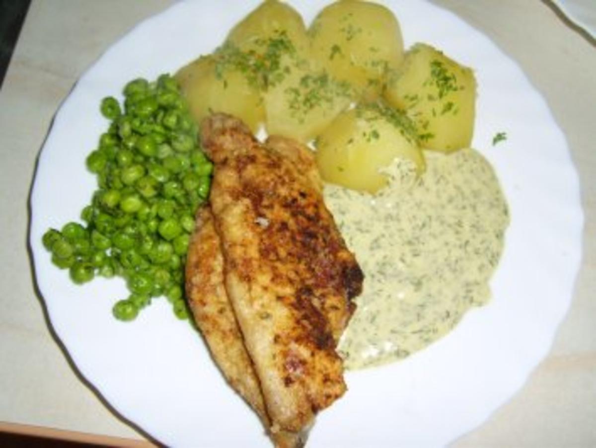 Bilder für Dorade in Dillsoße mit Bild Rezept