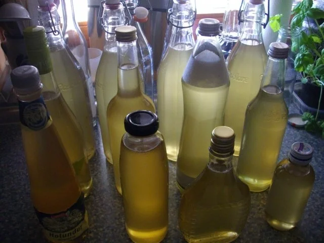 Rezept: Holunderblütensirup Bild Nr. 6 Holunderblütensirup - Rezept - Bild Nr. 6