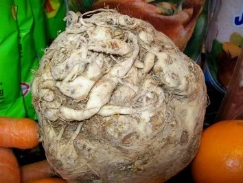 Rezept: Entenbraten mit Klößen und Rotkohl Bild Nr. 6 Entenbraten mit Klößen und Rotkohl - Rezept - Bild Nr. 6