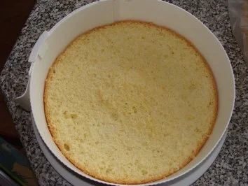 Mandarinentorte - Rezept - Bild Nr. 2