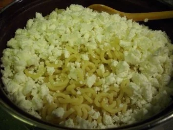 Rezept: Teufelchens Nudel-Spinat-Gratin Bild Nr. 2 Teufelchens Nudel-Spinat-Gratin - Rezept - Bild Nr. 2