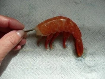 Rezept: VORSPEISE /SCHALENTIER/FISCH:Gambas grande Bild Nr. 4 VORSPEISE /SCHALENTIER/FISCH:Gambas grande - Rezept - Bild Nr. 4