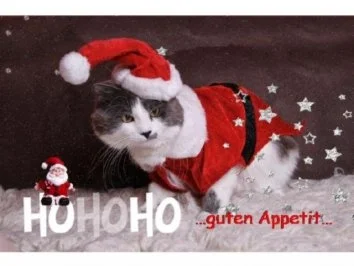 Zimtbraten vom Schweinerücken (Lachs) bzw.Schweinenacken - Rezept - Bild Nr. 8