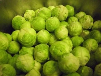 Teufelchens gebratener Rosenkohl unter einer Kartoffelhaube... - Rezept