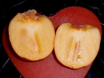 Kaki-Dominosteine-Weihnachtseis - Rezept - Bild Nr. 3