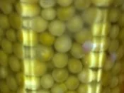 Anderer Kartoffelsalat. Den "normalen" kennt jeder :-) / Keine STERNEN vergeben bitte! - Rezept - Bild Nr. 5