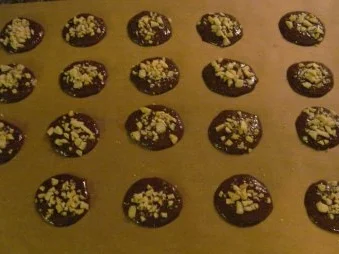 Rezept: Schokoladen - Kokos - Nuss - Taler Bild Nr. 2 Schokoladen - Kokos - Nuss - Taler - Rezept - Bild Nr. 2