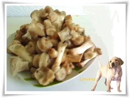 Sülze ohne Gelatine - Rezept - Bild Nr. 19