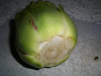 Artischocken a la Mario - Rezept - Bild Nr. 4