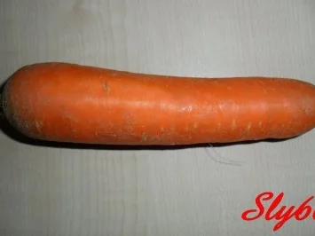 Fleischgerichte:Schweine-Rouladen - Rezept - Bild Nr. 4