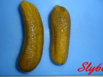 Fleischgerichte:Schweine-Rouladen - Rezept - Bild Nr. 5