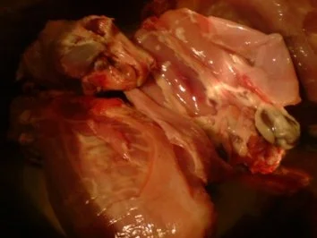 Rezept: Kaninchenfrikasee Bild Nr. 3 Kaninchenfrikasee - Rezept - Bild Nr. 3