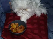 Karoffelchips frittiert - Rezept