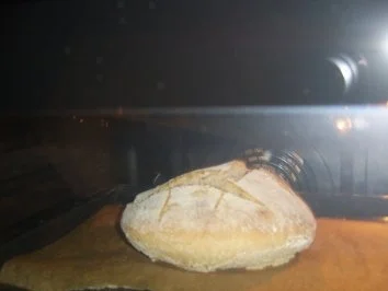 Sauerteig-Mischbrot - Rezept - Bild Nr. 7