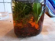 Essig, Gewürzessig - selbst herstellen - Rezept