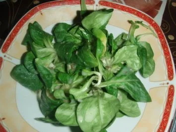 Rezept: Filetto di Cavallo alla Tavantina mit Teigwaren an einer Morchelsauce und Salat Bild Nr. 2 Filetto di Cavallo alla Tavantina mit Teigwaren an einer Morchelsauce und Salat - Rezept - Bild Nr. 2