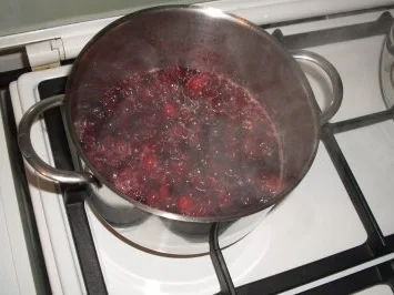 Bretonische Barbarieentenbrüste.... - Rezept - Bild Nr. 4