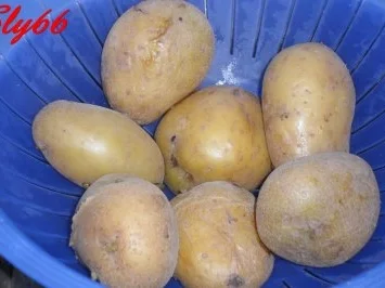 Salate:Kartoffelsalat mit Gurke und Majo - Rezept - Bild Nr. 3