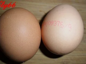 Salate:Kartoffelsalat mit Gurke und Majo - Rezept - Bild Nr. 10