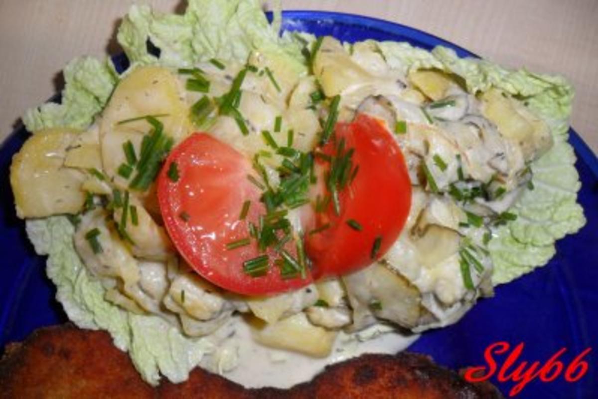 Bilder für Salate:Kartoffelsalat mit Gurke und Majo - Rezept