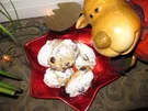 Rezept: ✲ Kleine süße Rosinen-Stollen-Brote ✲ ✲ Kleine süße Rosinen-Stollen-Brote ✲ - Rezept