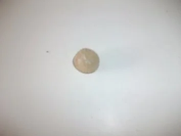 Rezept: Salzburger Mozartkugeln Bild Nr. 4 Salzburger Mozartkugeln - Rezept - Bild Nr. 4